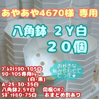 プラ八角鉢 カネヤ【2Y】20個 多肉植物 プレステラ(プランター)