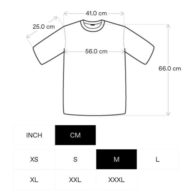 MONCLER(モンクレール)の【新品送料込】MONCLER ロゴコットン Tシャツ Mサイズ メンズのトップス(Tシャツ/カットソー(半袖/袖なし))の商品写真