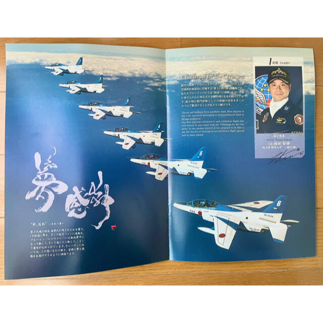 航空自衛隊 ブルーインパルス 2018 冊子 エンタメ/ホビーのミリタリー(その他)の商品写真