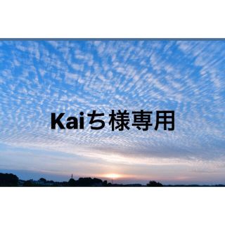 Kaiち様専用(その他)