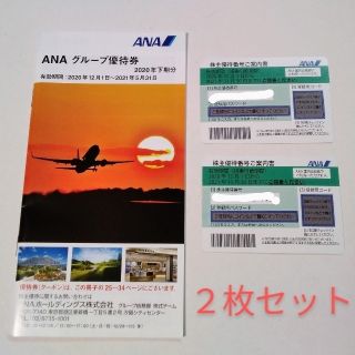 全日空✈︎株主優待券 2枚セット 2021年11月30日まで✈︎ANA(その他)