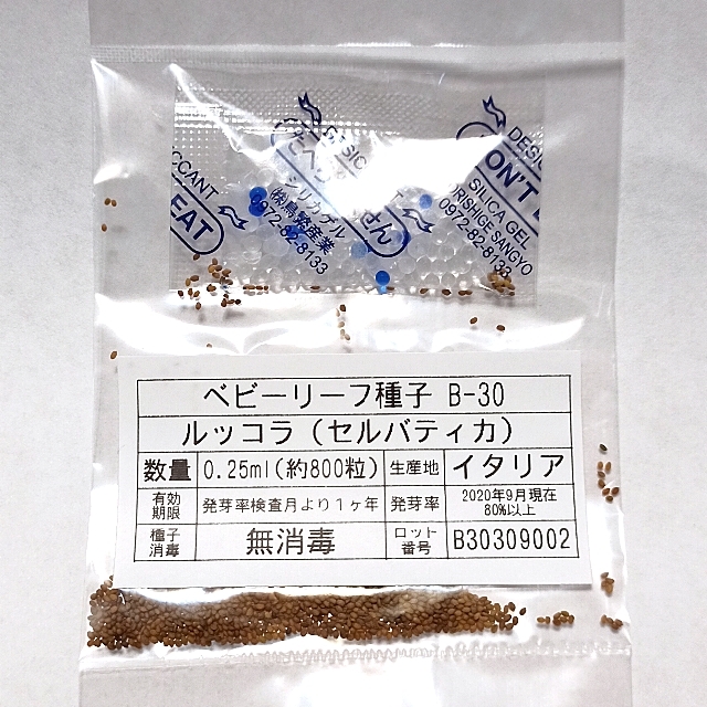 ミントチョコ様専用　セレクト種子　4袋 食品/飲料/酒の食品(野菜)の商品写真