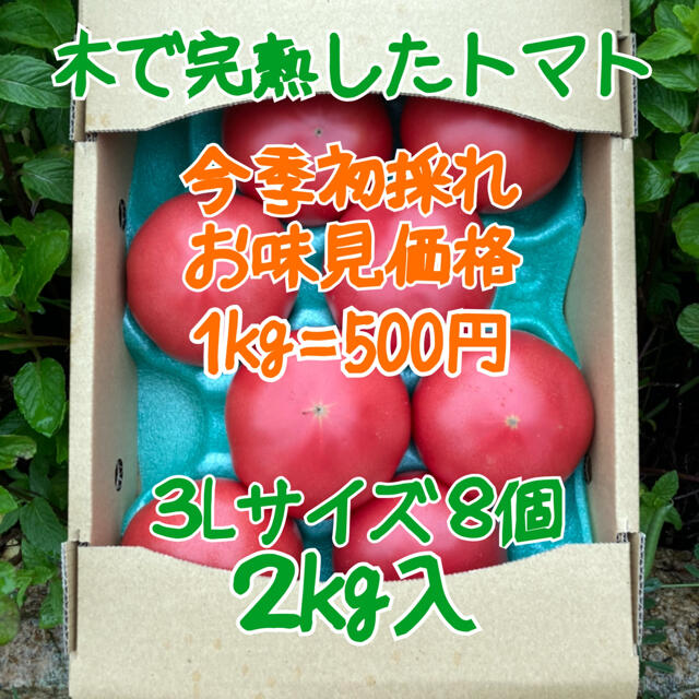 木成り完熟八風とまと3Lサイズ8個入　2kg 食品/飲料/酒の食品(野菜)の商品写真