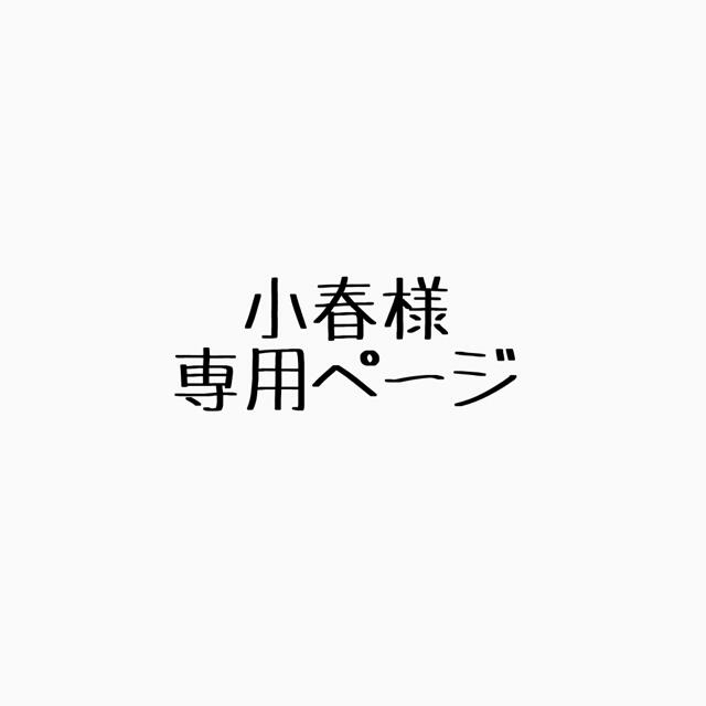 任天堂(ニンテンドウ)の小春様専用ページ エンタメ/ホビーのトレーディングカード(その他)の商品写真