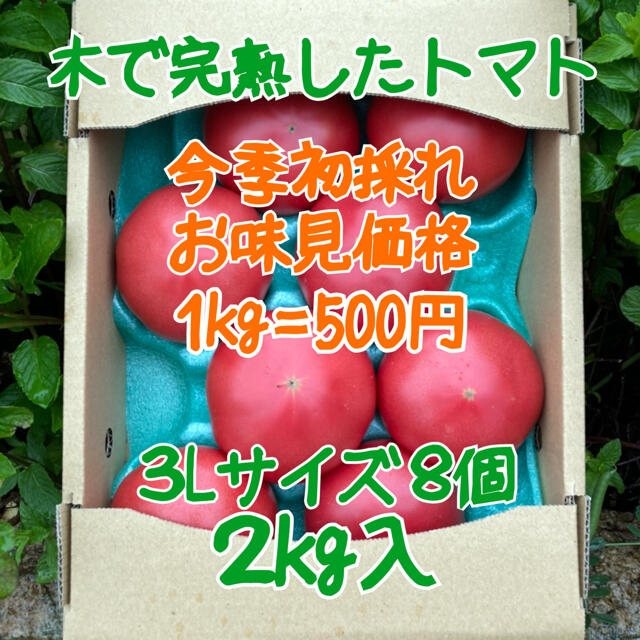 木成り完熟八風とまと3Lサイズ8個入　2kg 食品/飲料/酒の食品(野菜)の商品写真