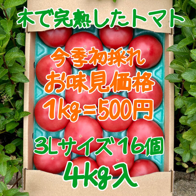 木成り完熟八風とまと3Lサイズ１６個入　4kg 食品/飲料/酒の食品(野菜)の商品写真