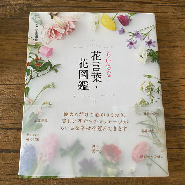 ちいさな花言葉 花図鑑の通販 By Pei S Shop ラクマ