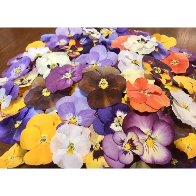 銀の紫陽花が作った彩りビオラのドライフラワー山盛り70冠‼️ ハンドメイドのフラワー/ガーデン(ドライフラワー)の商品写真