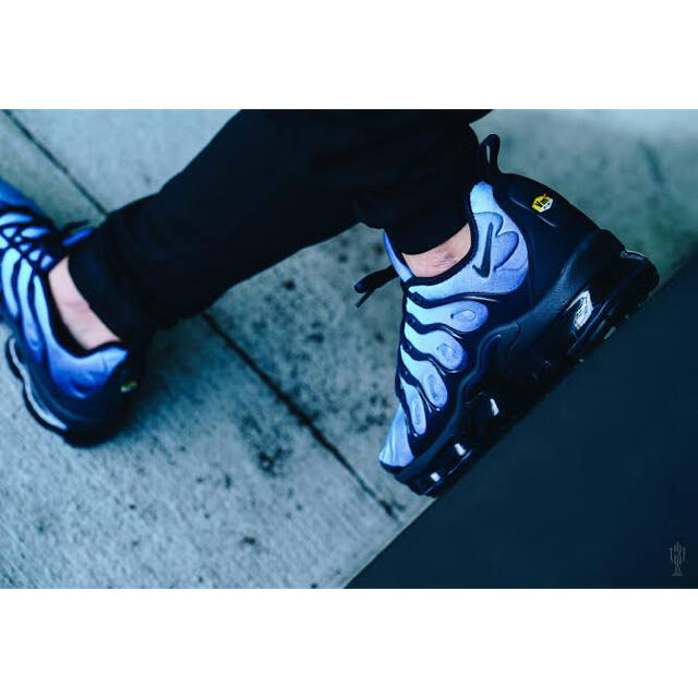 NIKE(ナイキ)の美品 希少 NIKE AIR VAPORMAX PLUS ネイビー 27cm メンズの靴/シューズ(スニーカー)の商品写真