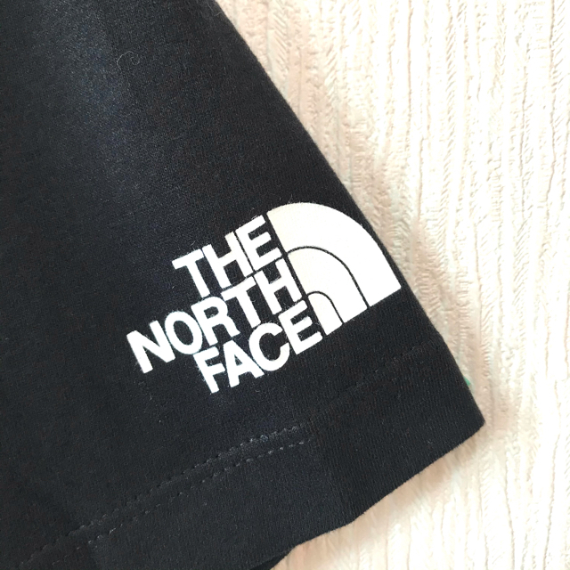 THE NORTH FACE(ザノースフェイス)のほっこり系 ☆ 新品 ノースフェイス キャンプ Tシャツ 黒 XL LL メンズのトップス(Tシャツ/カットソー(半袖/袖なし))の商品写真