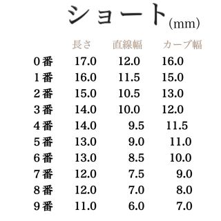 オーダーネイルチップ オーダー受付中 コスメ/美容のネイル(つけ爪/ネイルチップ)の商品写真