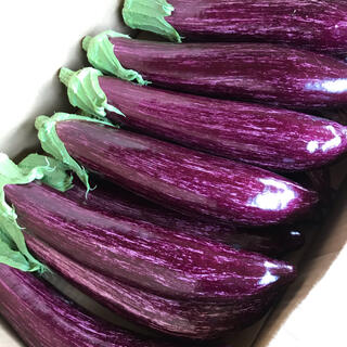 ブランド茄子【りんごあめ】ゼブラ茄子　〜日本一の鮮やかな紫〜(野菜)