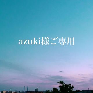 アレクサンドルドゥパリ(Alexandre de Paris)のazuki様ご専用アレク保存袋(ショップ袋)