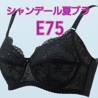 シャンデール夏ブラジャー　E75(ブラ)