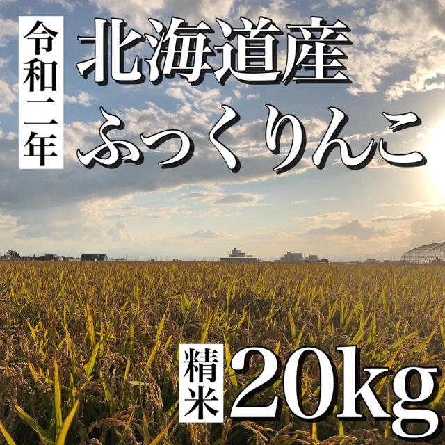 20kg　北海道産ふっくりんこ　米/穀物