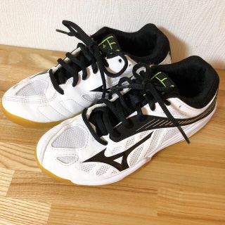 ミズノ(MIZUNO)の【専用】MIZUNO☆室内シューズ20㎝(スクールシューズ/上履き)