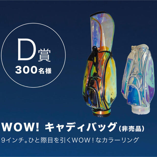 本間ゴルフ スケルトンキャディバッグ 新品非売品 本間ゴルフ スケルトンキャディバッグ 新品非売品