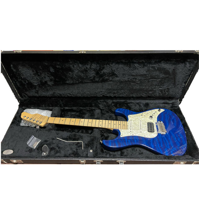 2022春の新作 James '02 Blue Trans SE USA Tyler エレキギター ...