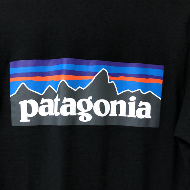 patagonia(パタゴニア)のpatagonia パタゴニア　ロンT プリントT メンズのトップス(Tシャツ/カットソー(七分/長袖))の商品写真