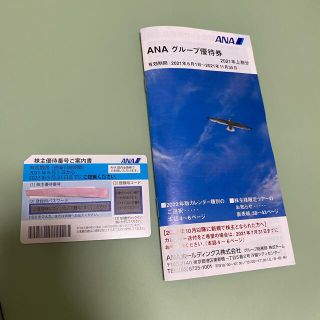 エーエヌエー(ゼンニッポンクウユ)(ANA(全日本空輸))のANA 株主優待(その他)