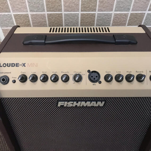 JUN様専用 FISHMAN PRO-LBX-JX5 mini リアル 67.0%OFF noxcapital.de