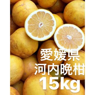 愛媛県　宇和ゴールド　河内晩柑　15kg(フルーツ)