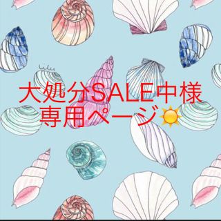 大処分SALE中様✭専用ページ(その他)