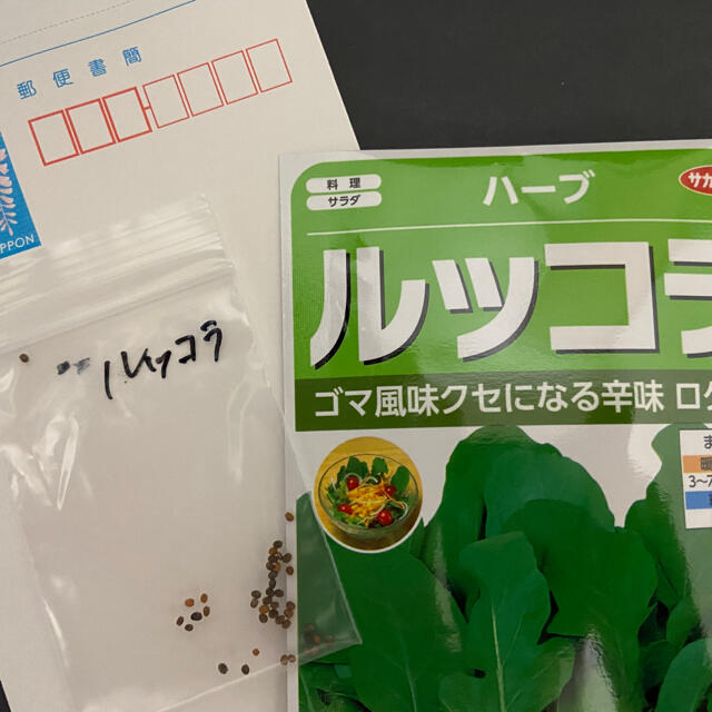 【プランター栽培】大葉50粒、バジル30粒以上、ルッコラ30粒以上。お得！！ ハンドメイドのフラワー/ガーデン(その他)の商品写真