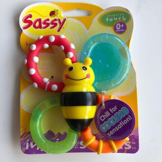 サッシー(Sassy)の【ちー様専用】使用新品　Sassy 赤ちゃんオモチャ　夏のお遊びにとっておき(知育玩具)