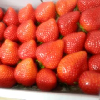 mango様専用　学生ズポン(スラックス)