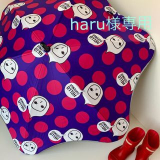 【haru様専用】商品確認後、購入をお願いいたします。(傘)