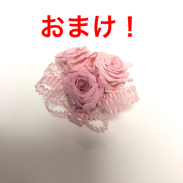 代引不可 ディズニー 白雪姫 シンデレラ ガラス細工 オマケ 豪華 Www Zanimljivaistorija Com 代引不可 ディズニー 白雪姫 シンデレラ ガラス細工 オマケ 豪華 Www Zanimljivaistorija Com