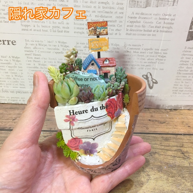 多肉植物　古代さま専用オーダーページです。 ハンドメイドのフラワー/ガーデン(その他)の商品写真