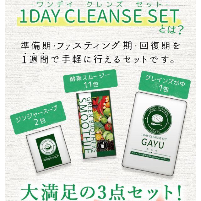 4つセットGREEN BROTHERS 1DAY CLEANSE SET