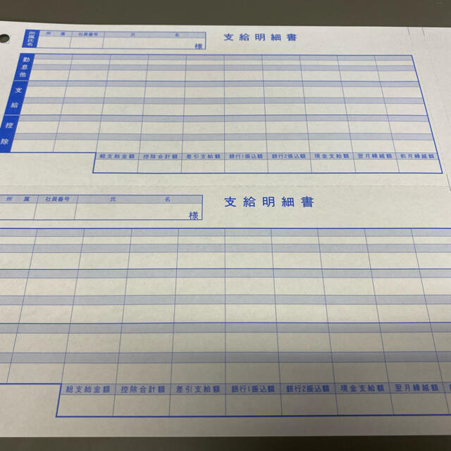 6002(3) 袋とじ支給明細書 300枚×3箱セット OBC奉行サプライ - 1