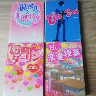 甘い恋愛授業他３冊おまけ付(文学/小説)