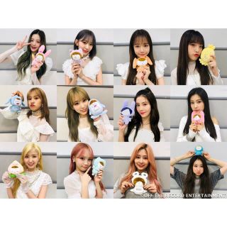 IZONE チェウォン ファンクラブ入会特典 ぬいぐるみ