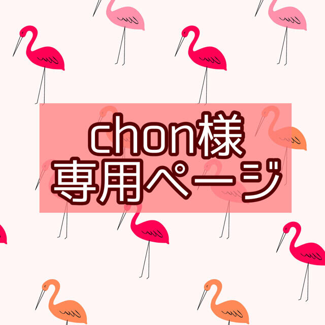 フラミンゴ様 専用ページ② その他 teclean.com.br