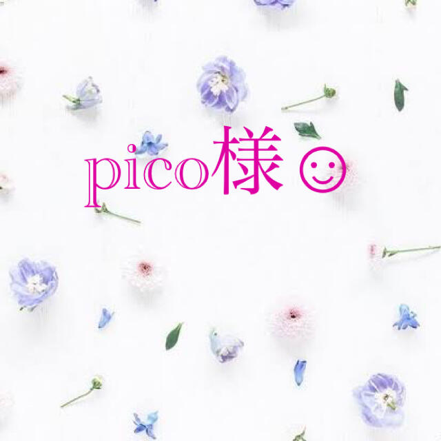 picoしゃん☺︎パーツセット ハンドメイドの素材/材料(各種パーツ)の商品写真