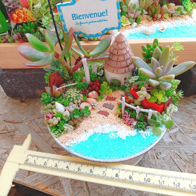 しいも様専用  多肉植物 寄せ植え ハンドメイドのフラワー/ガーデン(その他)の商品写真