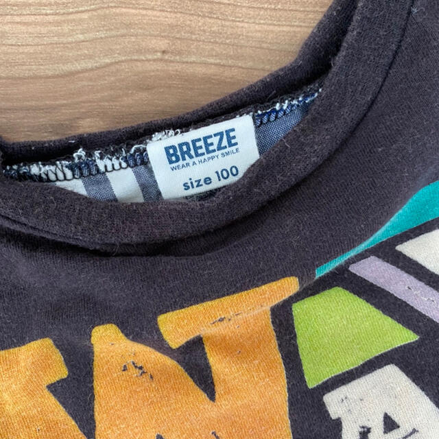 BREEZE(ブリーズ)のTシャツ　100cm 男の子　 キッズ/ベビー/マタニティのキッズ服男の子用(90cm~)(Tシャツ/カットソー)の商品写真