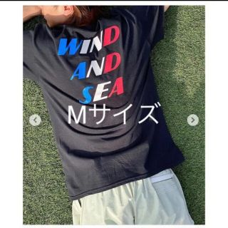 シー(SEA)のSEA (DLM) TRICOLOR TEE﻿ / BLACK (Tシャツ/カットソー(半袖/袖なし))