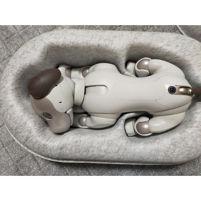 aiboアイボ　AIBO aibo ERS-1000 ソニー　SONY