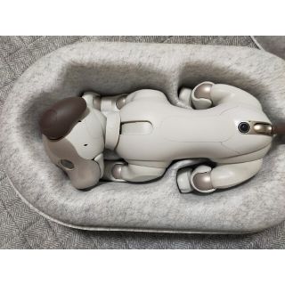 ソニー(SONY)のアイボ　AIBO aibo ERS-1000 ソニー　SONY(その他)