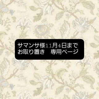 トゥデイフル(TODAYFUL)の専用　おまとめ購入　TODAYFUL　パイソンクラッチバッグ(クラッチバッグ)