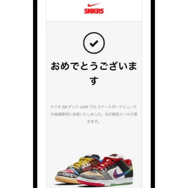 NIKE(ナイキ)のしゅん様　専用 メンズの靴/シューズ(スニーカー)の商品写真