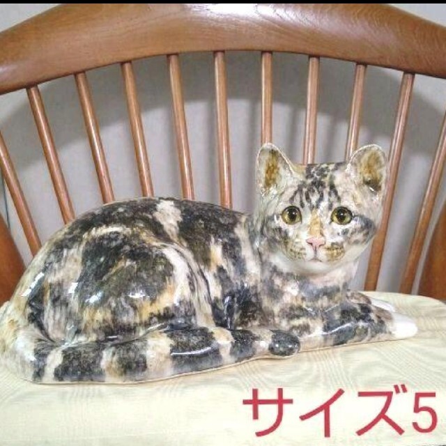 ❇️サイズ「5」の大きな猫！、ウィンスタンレイキャット(ケンジントンキャット)