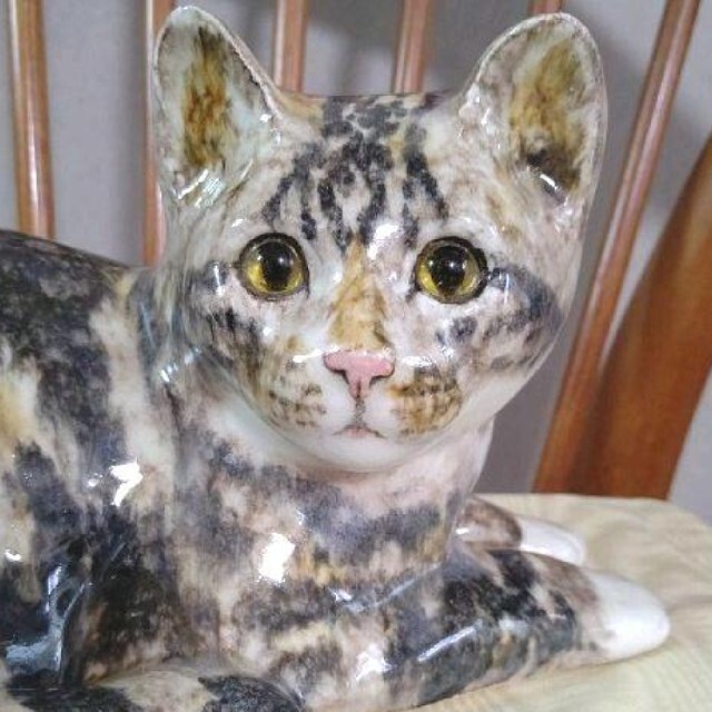 ❇️サイズ「5」の大きな猫!、ウィンスタンレイキャット ❇️サイズ「5」の大きな猫!、ウィンスタンレイキャット