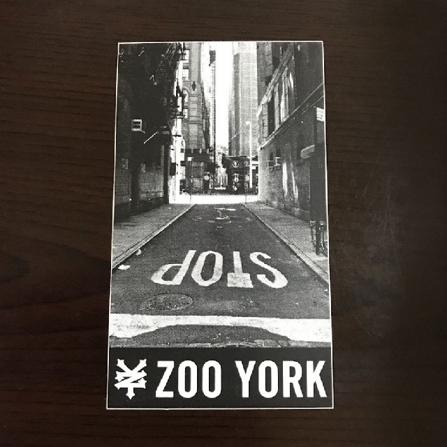 ZOO YORK(ズーヨーク)の(縦12cm横7cm) ZOOYORK ステッカー スポーツ/アウトドアのスポーツ/アウトドア その他(その他)の商品写真