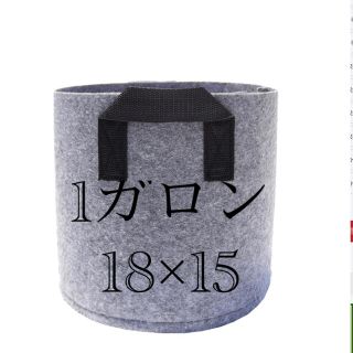 不織布　植物プランター　1ガロン12p(プランター)